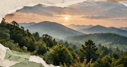 Sunrise over forested hills